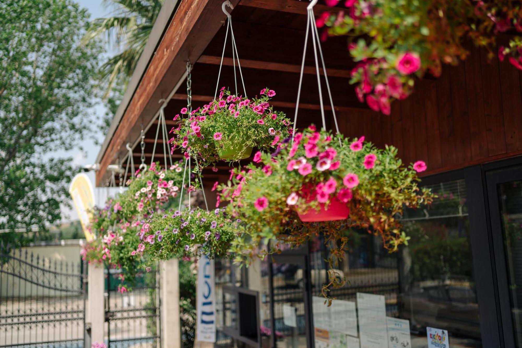 Village Lake Placid Силви Марина Екстериор снимка